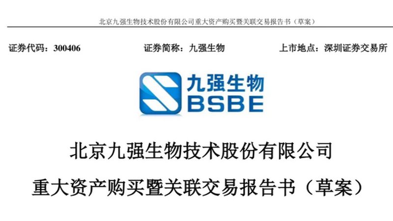 高保真聚合酶定制生产：揭秘精准科研背后的“隐形功臣”**