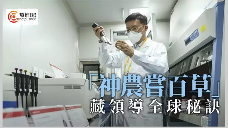 化学试剂与生物试剂：揭秘两者间的奥秘与差异