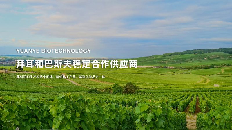 进口移液器品牌如何选择？揭秘行业趋势与选购要点**