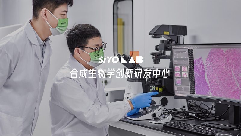 新生儿基因筛查，如何选择合适的套餐？**