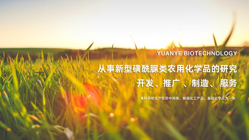荧光定量PCR试剂：揭秘其背后的技术奥秘与价格构成**