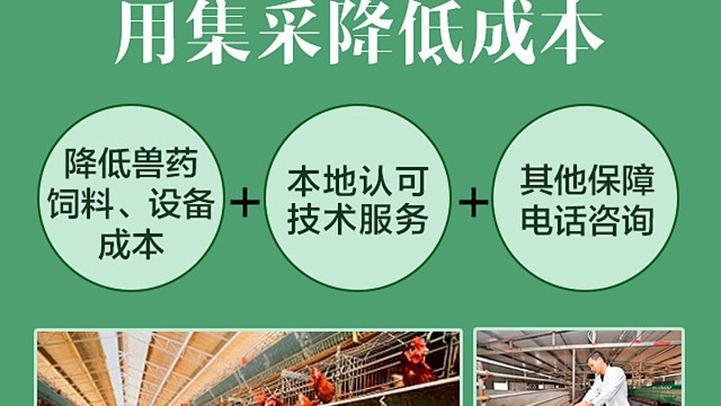 啤酒酿造工业酶：揭秘其报价背后的技术考量