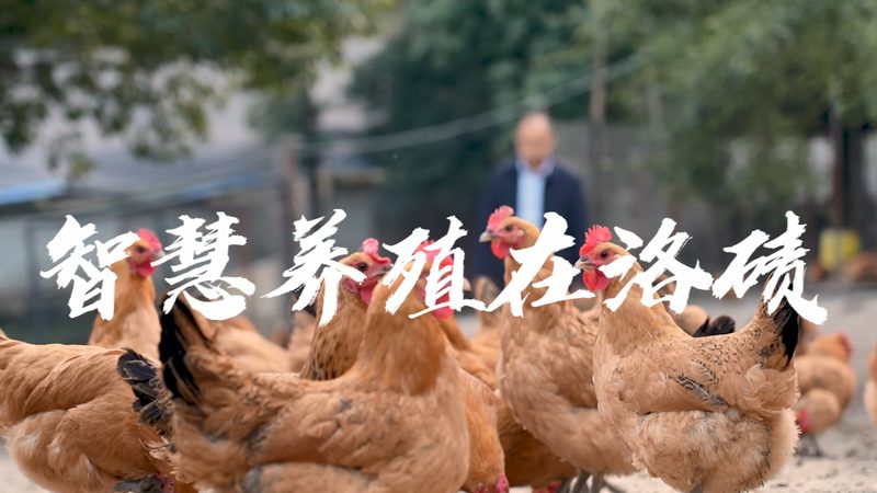 细胞工厂报价背后的考量因素揭秘