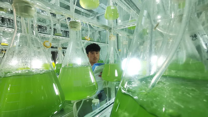 基因检测与基因筛查：儿童健康守护的“双剑合璧